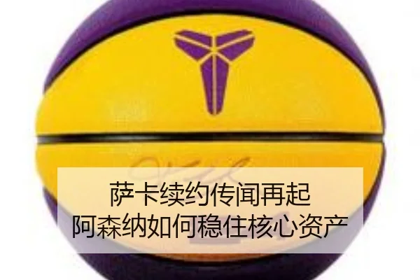 sa-ka-xu-yue-chuan-wen-zai-qi-a-sen-na-ru-he-wen-zhu-he-xin-zi-chan-2-330.jpg